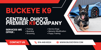 2ce9ec387747881e4294b0c895a9ef65bf3883f5